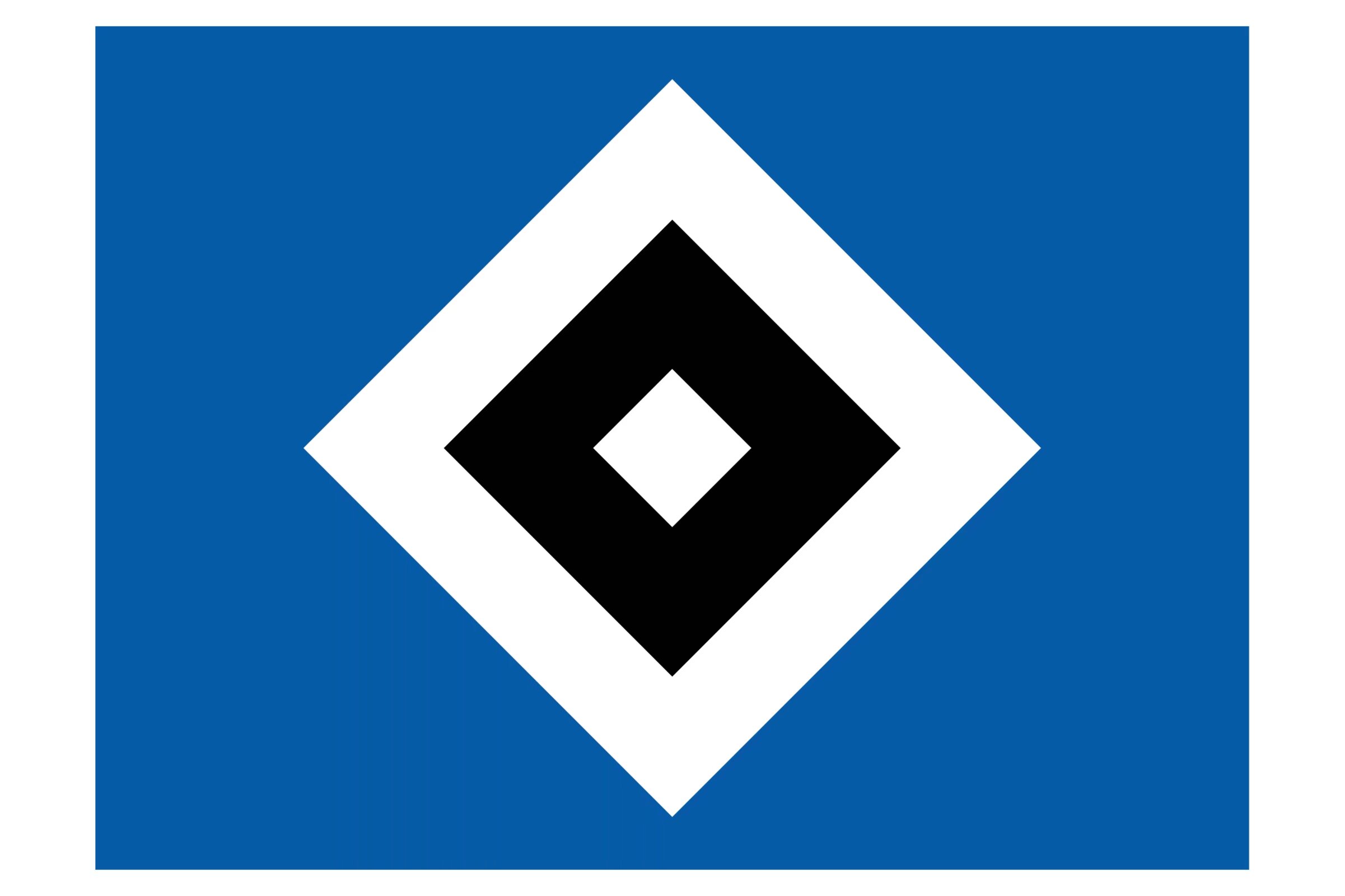 汉堡队在比赛中表现出色，力争向前迈进